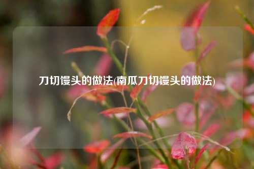刀切馒头的做法(南瓜刀切馒头的做法)