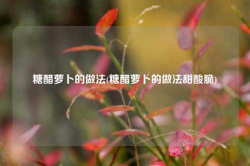 糖醋萝卜的做法(糖醋萝卜的做法甜酸脆)