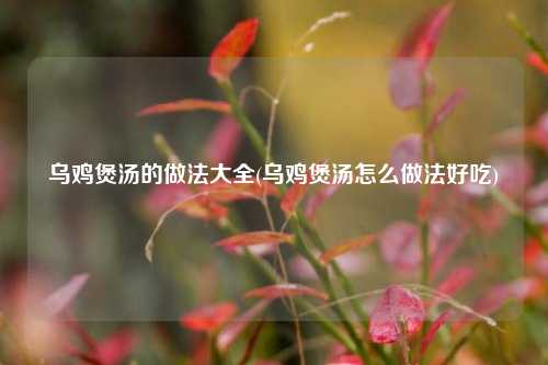 乌鸡煲汤的做法大全(乌鸡煲汤怎么做法好吃)