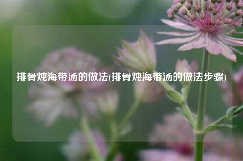 排骨炖海带汤的做法(排骨炖海带汤的做法步骤)
