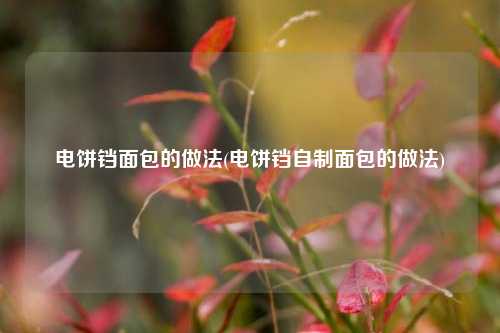 电饼铛面包的做法(电饼铛自制面包的做法)