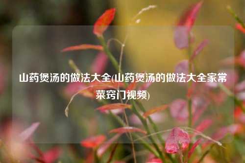 山药煲汤的做法大全(山药煲汤的做法大全家常菜窍门视频)