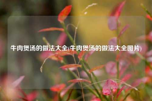 牛肉煲汤的做法大全(牛肉煲汤的做法大全图片)
