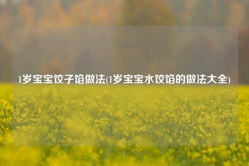 1岁宝宝饺子馅做法(1岁宝宝水饺馅的做法大全)
