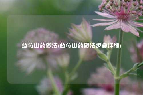 蓝莓山药做法(蓝莓山药做法步骤详细)
