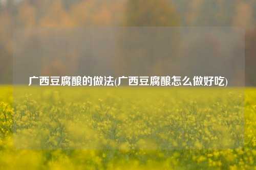 广西豆腐酿的做法(广西豆腐酿怎么做好吃)