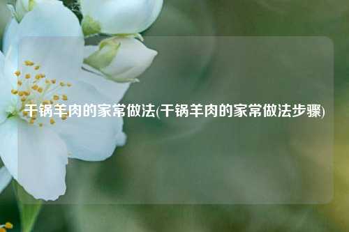 干锅羊肉的家常做法(干锅羊肉的家常做法步骤)